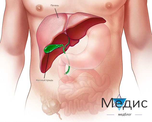 Печень лечение